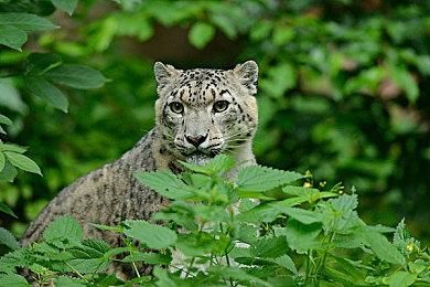 玩家晒《怪猎荒野》实图还原电影神作 网友惊叹高玩真会玩
