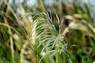 《苍蓝雷霆 Gunvolt3 锁环》第一弹DLC预告公开